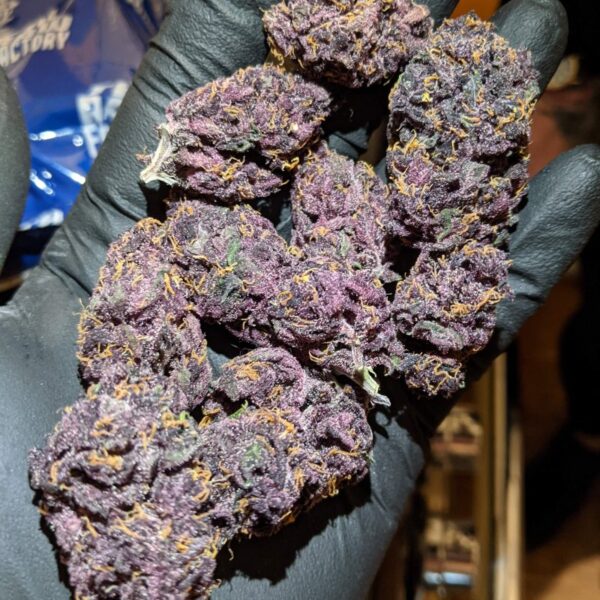 FAST BUDS - Blackberry Auto (x1) - Imagen 12