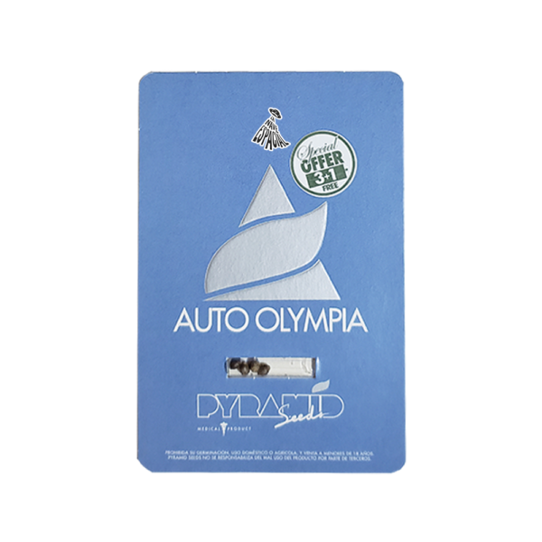PYRAMID SEEDS - Auto Olympia (x4)