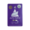 PYRAMID SEEDS - Auto Purple (x4)