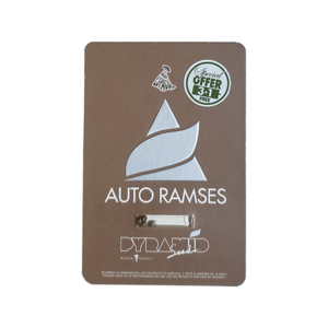 PYRAMID SEEDS - Auto Ramses (x4)