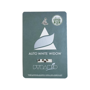 PYRAMID SEEDS - Auto White Widow (x4)