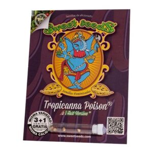 SWEET SEEDS - Tropicanna Poison F1 Fast Version (x4)