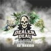 BSF SEEDS - Dealer Deal XXL Automix (x12)