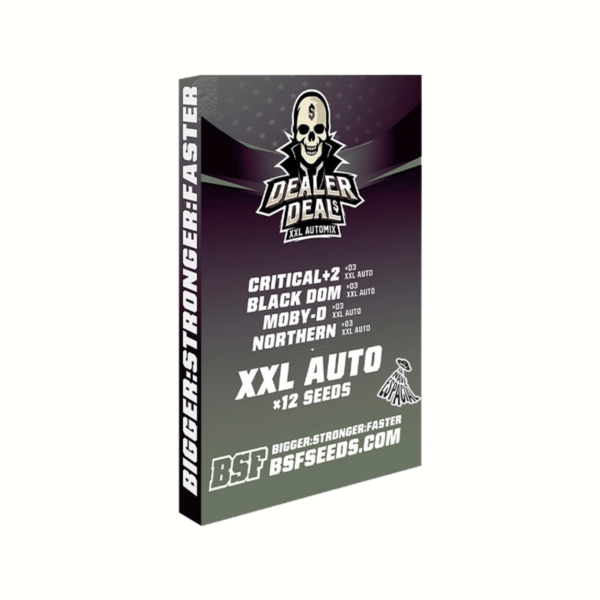 BSF SEEDS - Dealer Deal XXL Automix (x12)