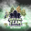 BSF SEEDS - Dream Team Feminized Mix (x12)