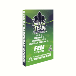 BSF SEEDS - Dream Team Feminized Mix (x12)