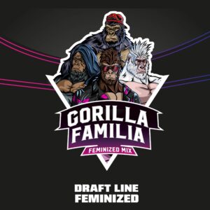 BSF SEEDS - Gorilla Familia Feminized Mix (x12)