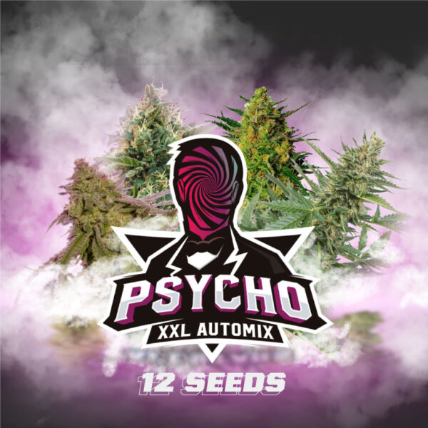 BSF SEEDS - Psycho XXL Automix (x12)