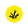 PIECE MAKER GEAR - Kap (Citrine Yellow)
