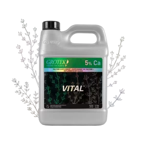 GROTEK - Vital (1 litro)