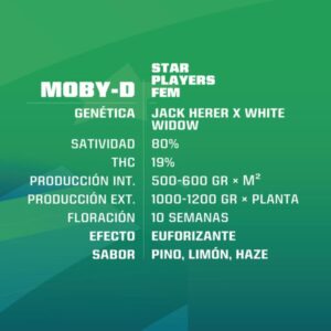 BSF SEEDS - Moby-D (x12)