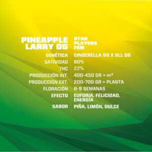 BSF SEEDS - Pineapple Larry OG (x7)