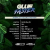 BSF SEEDS - Gorilla Glue Faster Flowering (x12)