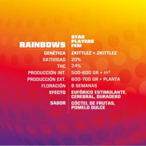 BSF SEEDS - Rainbows (x12)