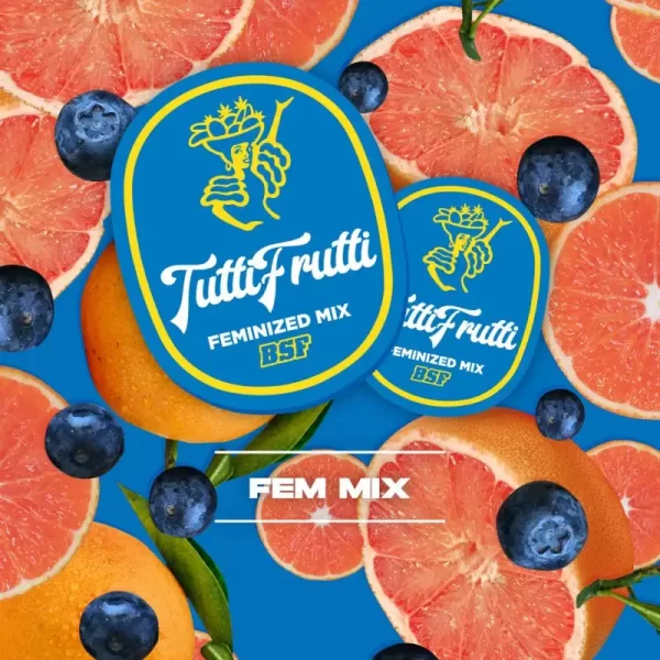 BSF SEEDS - Tutti Frutti Fem Mix (x12)