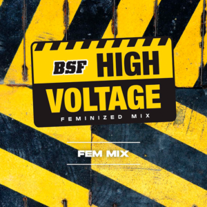 BSF SEEDS - High Voltage Fem Mix (x12)