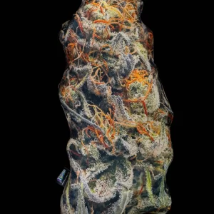 PILLOWEED - Cream Mandarin (Talla S)