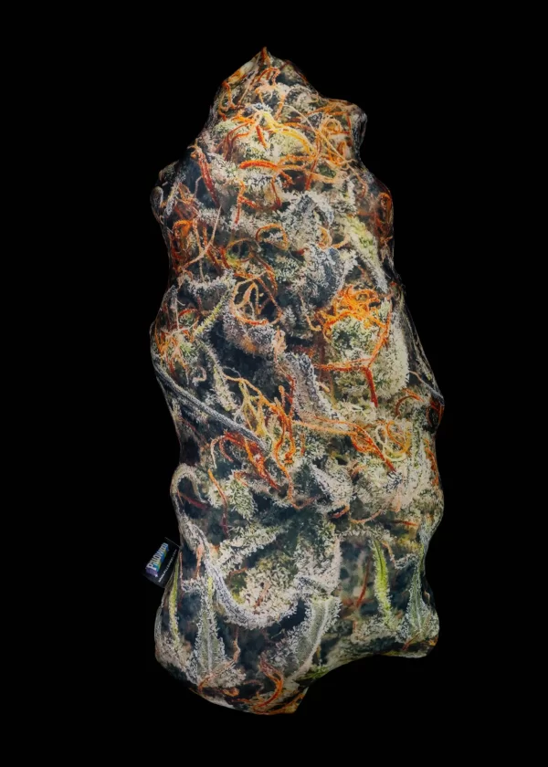 PILLOWEED - Cream Mandarin (Talla S)