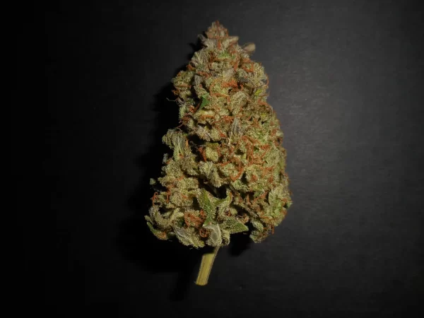 FAST BUDS - Lemon AK Auto (x1) - Imagen 8