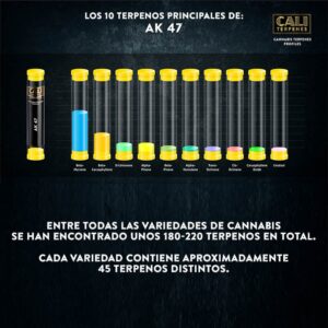 CALI TERPENES - Terpenos AK 47 (1 ml)