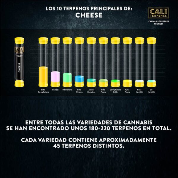 CALI TERPENES - Terpenos Cheese (1 ml)