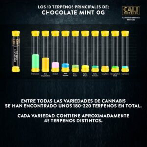 CALI TERPENES - Terpenos Chocolate Mint OG (1 ml)