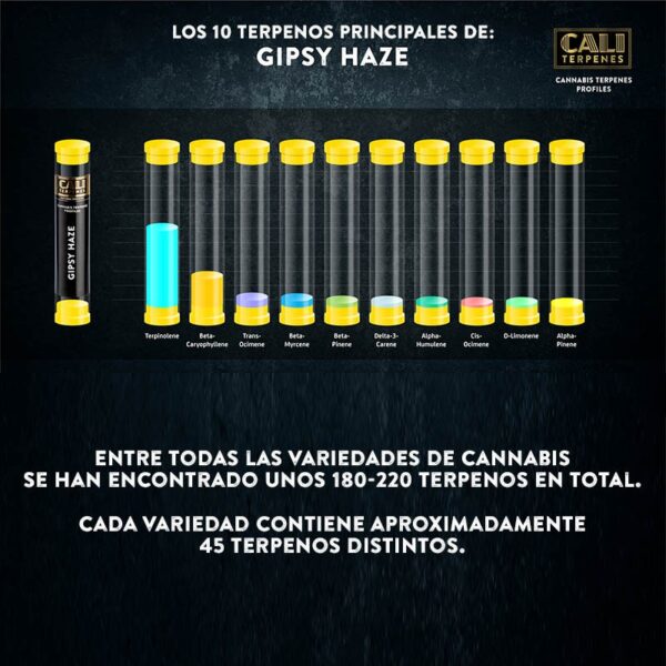 CALI TERPENES - Terpenos Gipsy Haze (1 ml)