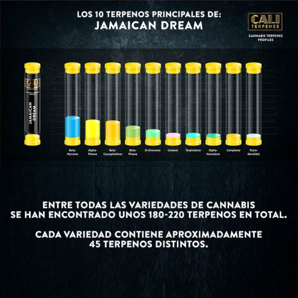 CALI TERPENES - Terpenos Jamaican Dream (1 ml)