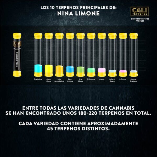 CALI TERPENES - Terpenos Nina Limone (1 ml)