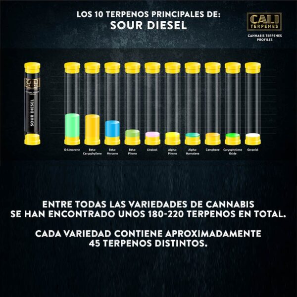 CALI TERPENES - Terpenos Sour Diesel (1 ml)