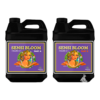 ADVANCED NUTRIENTS - Sensi Bloom A+B (500 ml c/u)