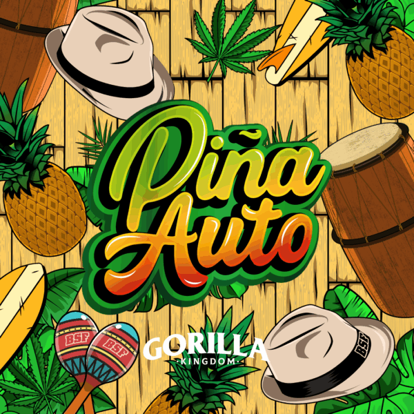 BSF SEEDS - Gorilla Piña Auto