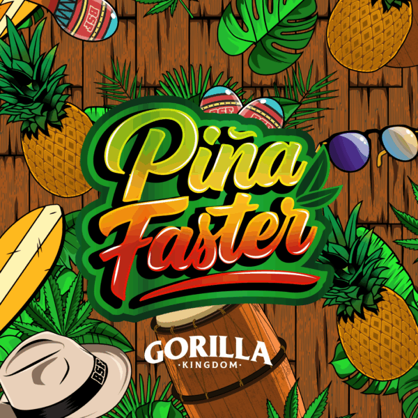 BSF SEEDS - Gorilla Piña Faster Flowering (x2) - Imagen 4