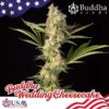 BUDDHA SEEDS - Wedding Cheesecake (x4)