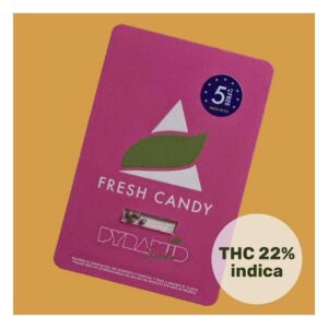 PYRAMID SEEDS - Fresh Candy (x4)