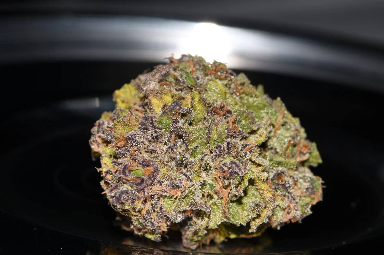 FAST BUDS - Smoothie Auto (x1) - Imagen 11