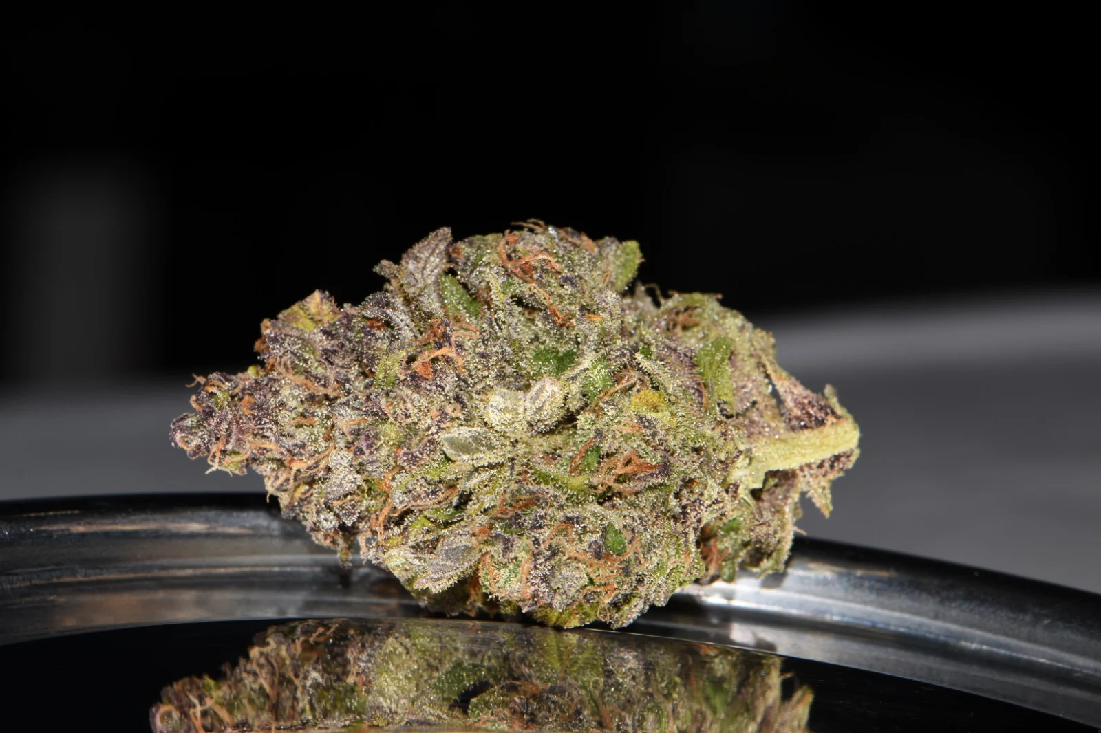FAST BUDS - Smoothie Auto (x1) - Imagen 7