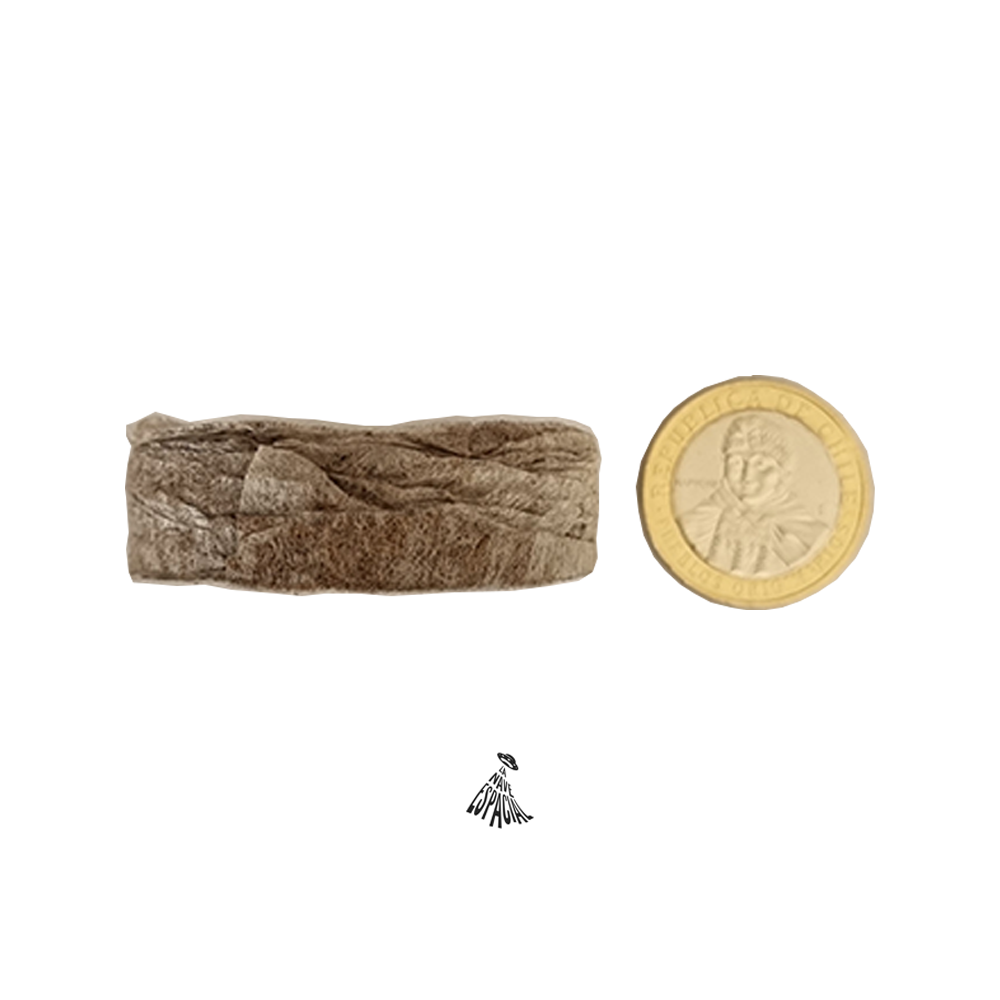 JIFFY - Pellet Jiffy 7 (42x13 mm) - Imagen 2