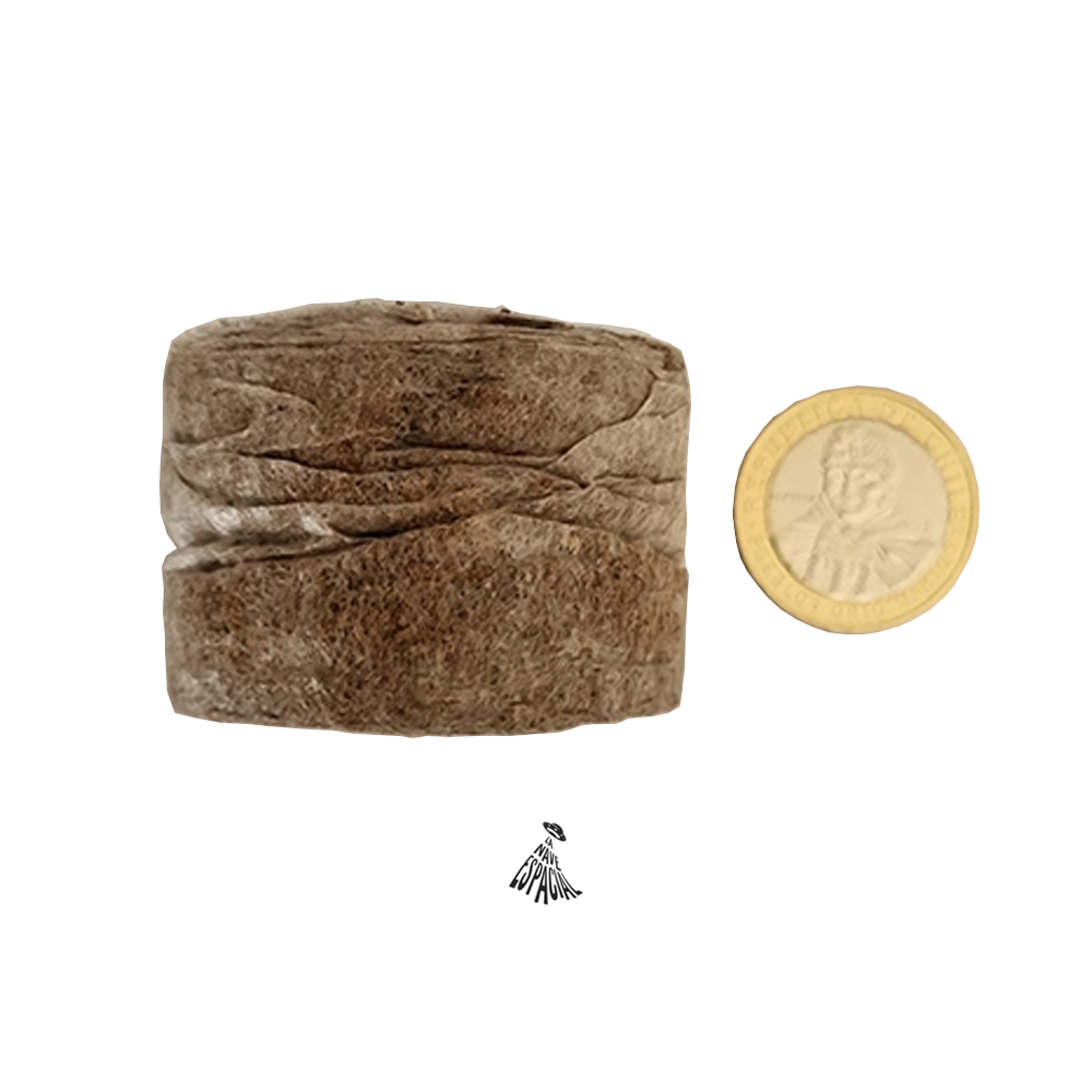 JIFFY - Pellet Jiffy 7 (42x28 mm) - Imagen 2